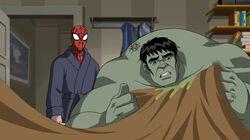 Home Sick Hulk Home Sick Hulk