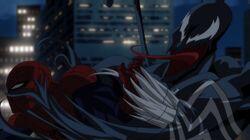 Venom Venom