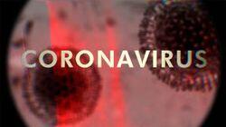 Coronavirus Coronavirus