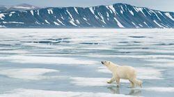 Svalbard Svalbard