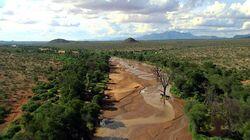 Africa Africa
