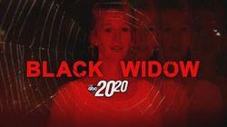 Black Widow Black Widow