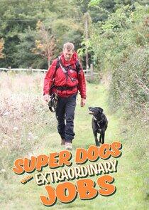 Super Dogs with Extraordinary Jobs Super Dogs with Extraordinary Jobs