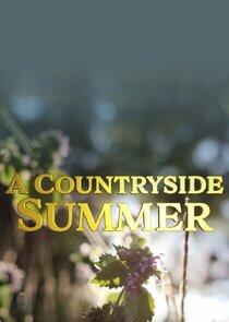 A Countryside Summer A Countryside Summer
