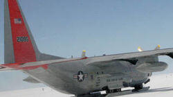 Skibirds Skibirds