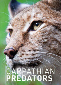 Carpathian Predators Carpathian Predators
