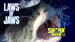 Laws of Jaws Laws of Jaws
