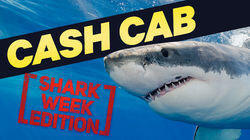 Cash Cab: Shark Week Edition Cash Cab: Shark Week Edition