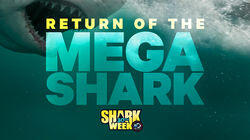Return of the Mega Shark Return of the Mega Shark