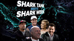 Shark Tank Meets Shark Week Shark Tank Meets Shark Week