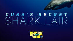 Cuba's Secret Shark Lair Cuba's Secret Shark Lair