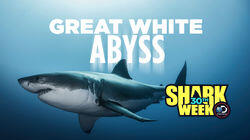 Great White Abyss Great White Abyss