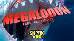 Megalodon: Fact Vs. Fiction Megalodon: Fact Vs. Fiction