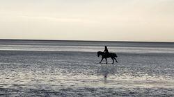 Estuaries Estuaries