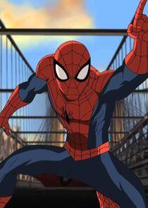 Peter Parker / Spider-Man