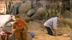 Mr. Sandman Mr. Sandman