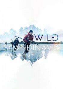 Wild Scandinavia Wild Scandinavia
