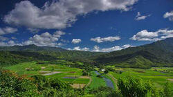 Hawaii Hawaii