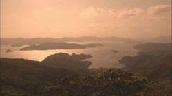 The Soulful Rhythms of the Amami Islands The Soulful Rhythms of the Amami Islands