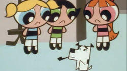 Monkey See, Doggie Do / Mommy Fearest Monkey See, Doggie Do / Mommy Fearest