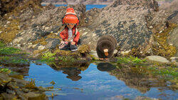 Rockpool Rockpool