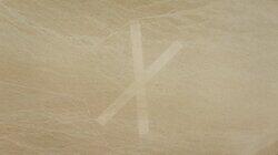 Nevada's Mystery Marking Nevada's Mystery Marking