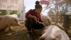 Genesis the Amazing Animal Ally Genesis the Amazing Animal Ally