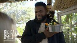 Zookeeper / Barista Zookeeper / Barista