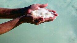 The Superpower of Salt The Superpower of Salt