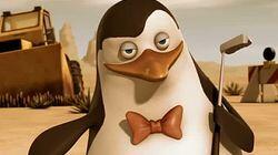 Mr. Tux Mr. Tux