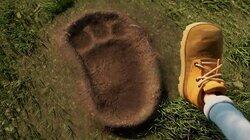 Bigfoot Bigfoot