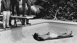 The Graduate The Graduate