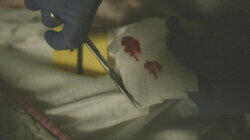 One Bloody Fingerprint One Bloody Fingerprint