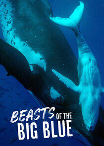 Beasts of the Big Blue Beasts of the Big Blue