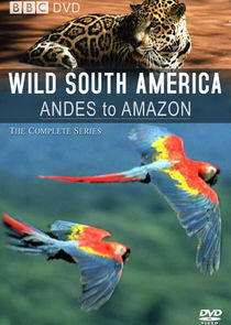 Andes to Amazon Andes to Amazon