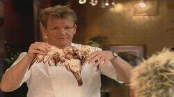 8 Chefs Compete 8 Chefs Compete