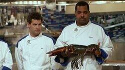 7 Chefs Compete 7 Chefs Compete