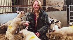 Lambing Life Lambing Life