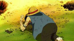 Disappearing Crewmates - The Final Day of the Straw Hat Crew Disappearing Crewmates - The Final Day of the Straw Hat Crew