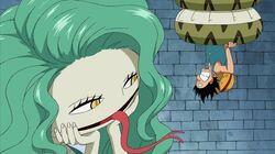Luffy's Hard Trial! The Power of the Snake Sisters' Willpower! Luffy's Hard Trial! The Power of the Snake Sisters' Willpower!