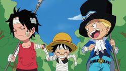 I Won't Run! Ace's Desperate Rescue Operation! I Won't Run! Ace's Desperate Rescue Operation!