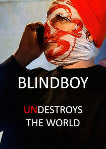 Blindboy Undestroys the World Blindboy Undestroys the World