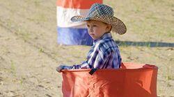 Obstacle Horse, or Course of Course Obstacle Horse, or Course of Course