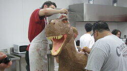 Paleontology & Popping the Question Paleontology & Popping the Question