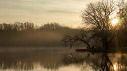 Murky Waters Murky Waters