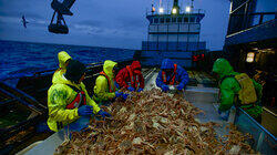 Bering Sea Crash