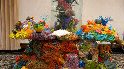 Under the Sea Under the Sea