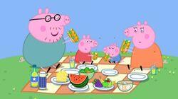 Picnic Picnic