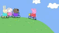 Bicycles Bicycles