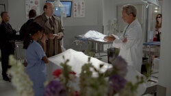 Gross Anatomy Gross Anatomy